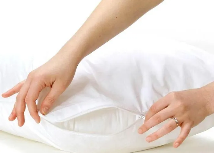 Hotel Kronio Ancient Olympia